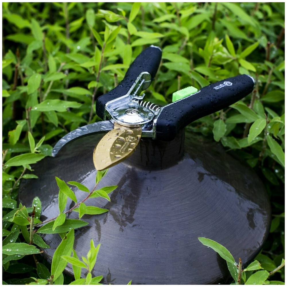 1383 ЦИ Секатор лепестковый TITANIUM