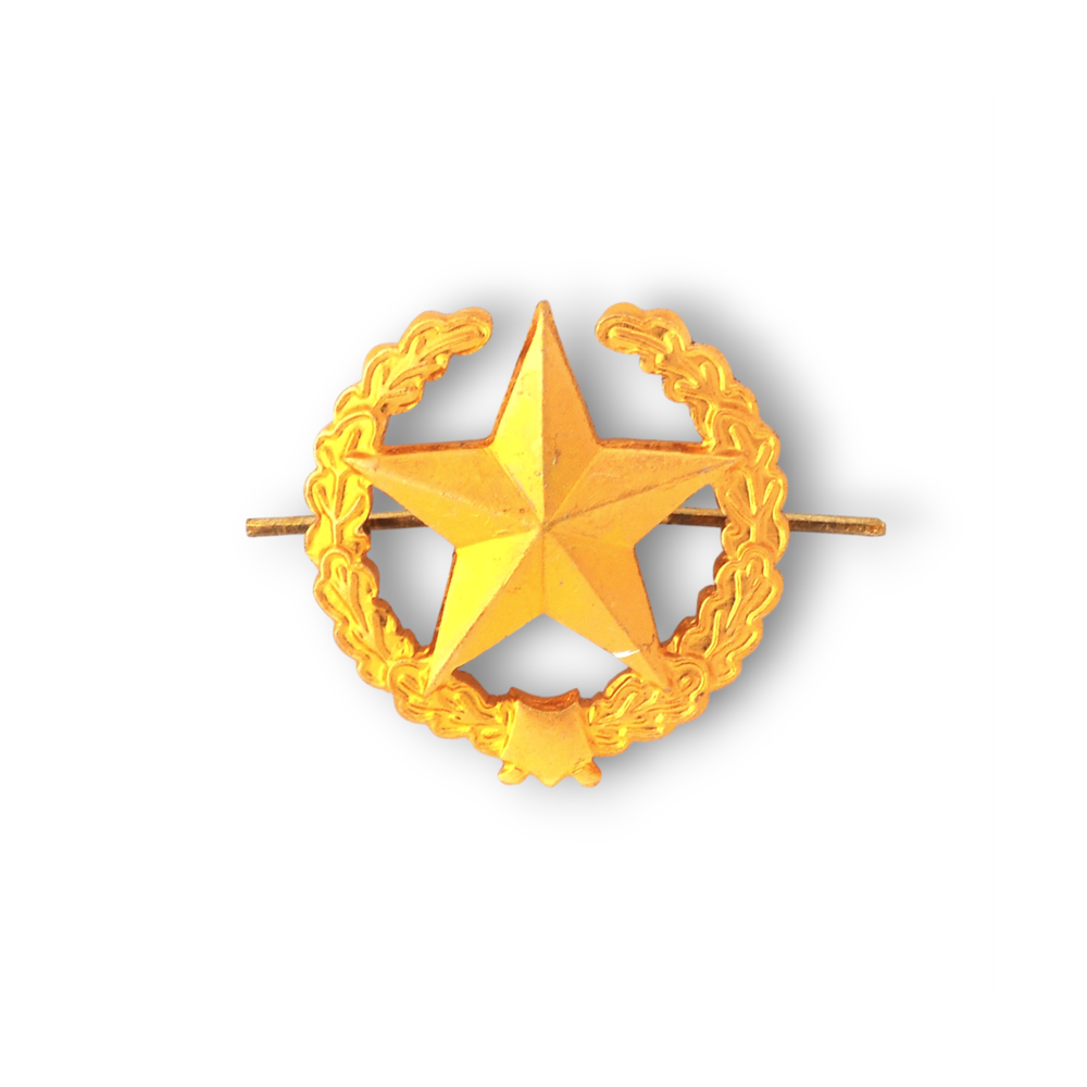 Эмблема ( Знак ) Петличная ( Петлица ) Сухопутных Войск В Венке Золотистая | ATRIBUTICASTORE.RU
