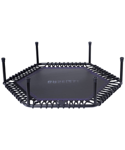 УЦЕНКА Батут TR-401 101 см с держателем, фиолетовый