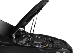Упоры капота АвтоУпор для Kia Ceed III 2018-2021 2021-н.в., 2 шт., UKICEE021