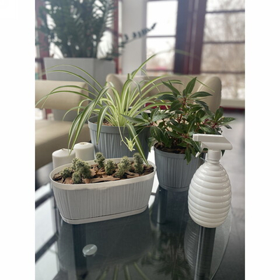 Опрыскиватель для растений 0,5л «Wave» белоснежный жасмин