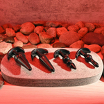 Набор из 4 анальных пробок-якорей Intro To Plugs