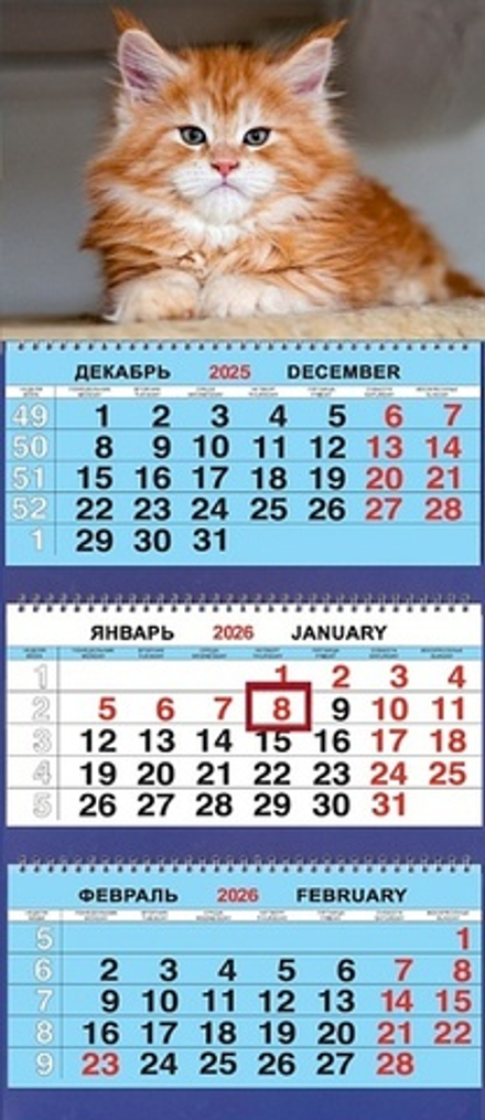 Календарь Трио 310*690мм на 2026г. Животные. Важный кот