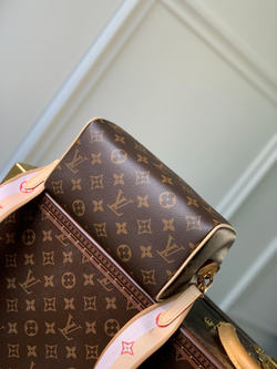 Louis Vuitton Speedy 20