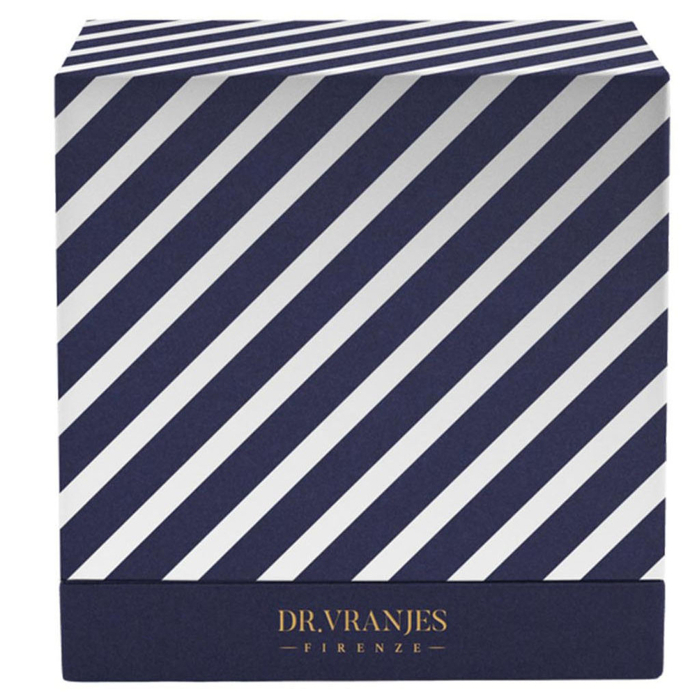 Dr. Vranjes Ambra диффузор 250 мл со свечой 80 г (аромат амбра)