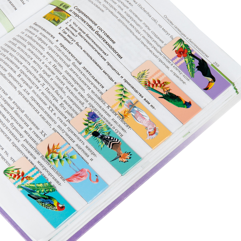 Закладки для книг МАГНИТНЫЕ "TROPICS" набор 12 шт. 60x20 мм BRAUBERG (4 штуки в упаковке)