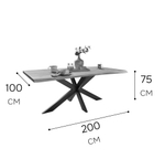 Стол обеденный 200х100х75 XENIA, массив дуба