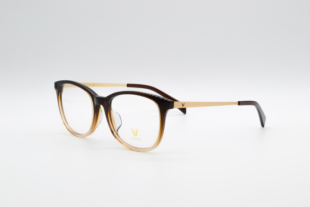 Изг. оправы Eyewear V2022 C04