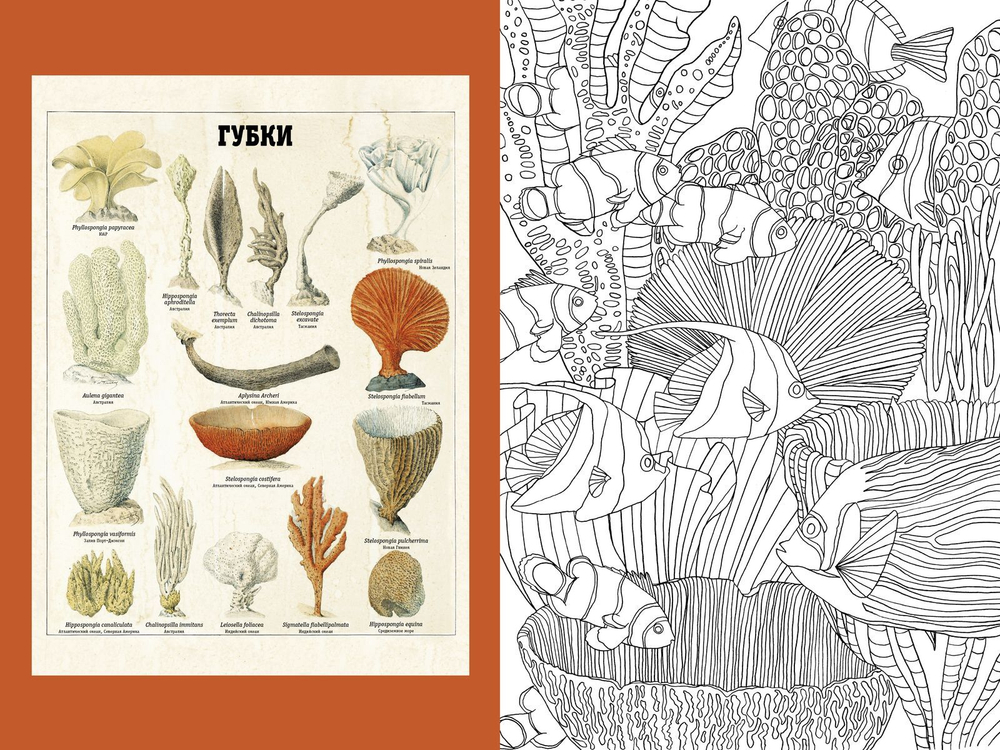 Вдохновляйся и рисуй. Природа