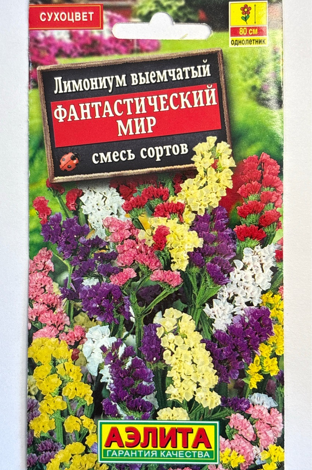 Лимониум Фантастический мир, смесь сортов СМЦ-259