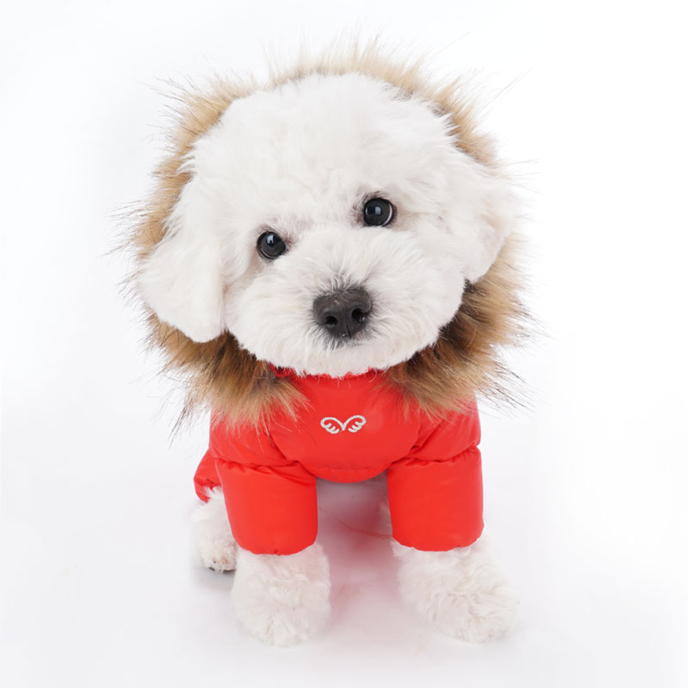 519 PA-OW Комбинезон для девочки