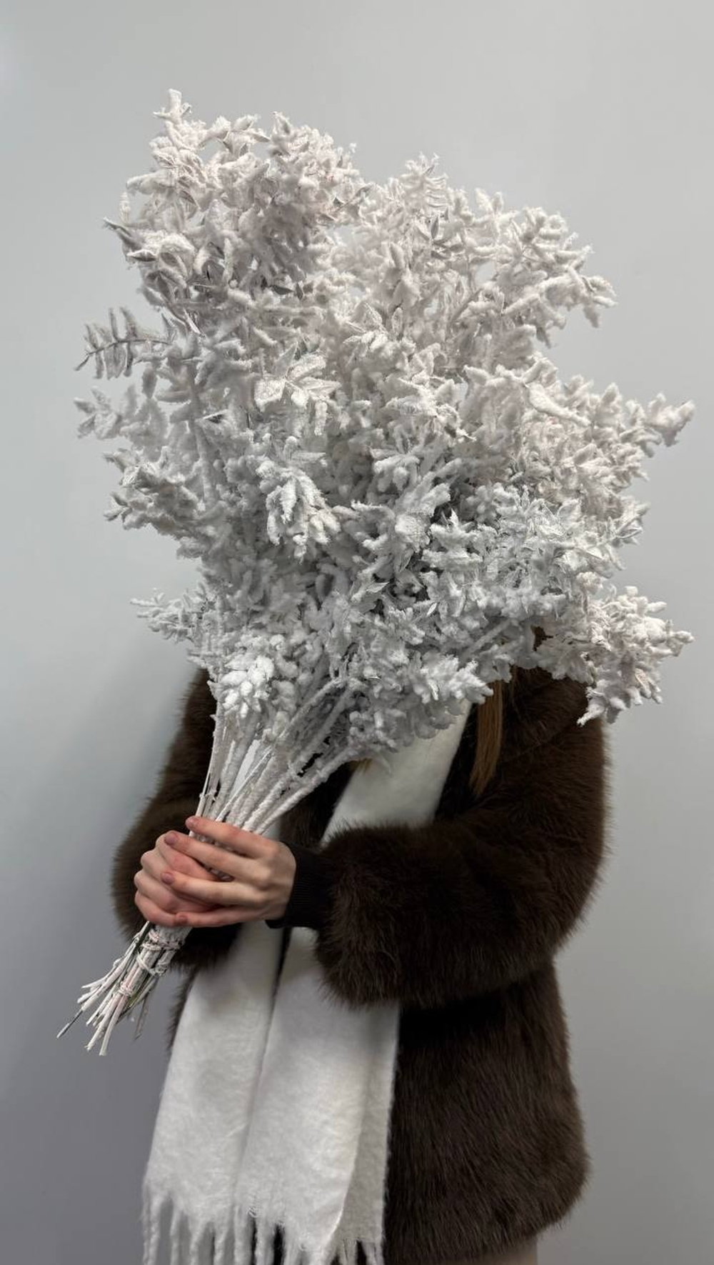 Рускус заснеженный 19 шт