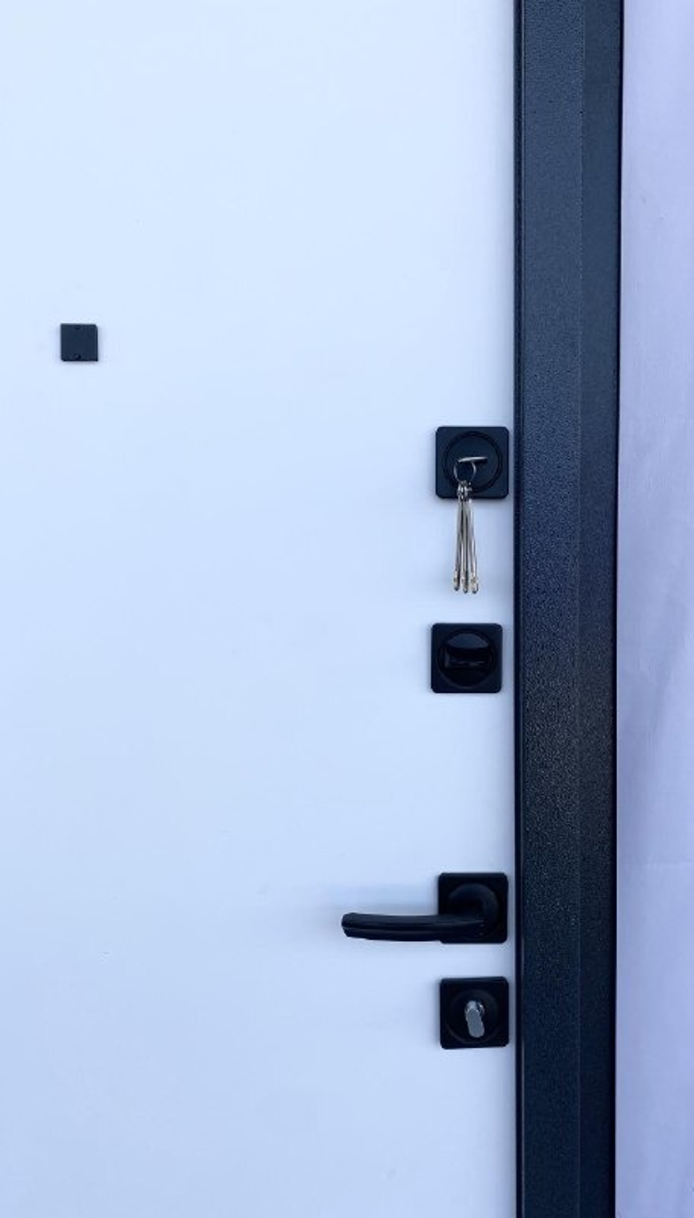 Дверь входная Вена