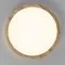 CL738182V Бейсик Клен Св-к Накл. LED 18W*Мульти