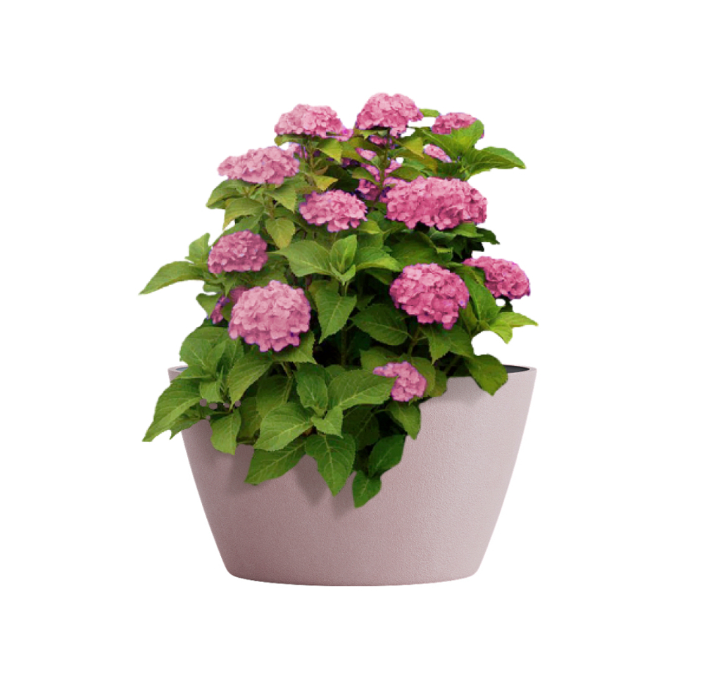 Кашпо, коллекция Classic, форма BOWL