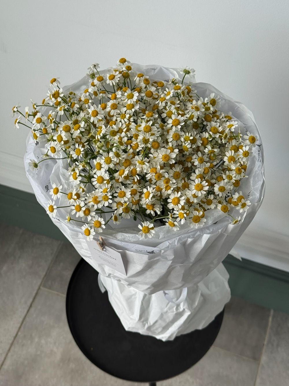Букет моно из ромашек