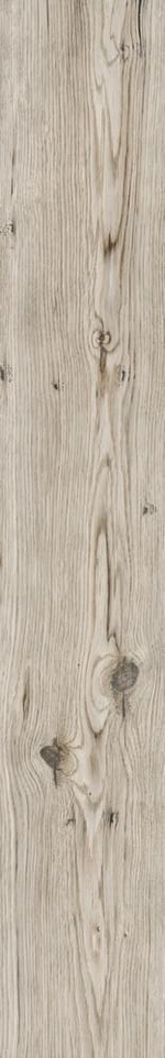 Rondine Living Tortora 15x100