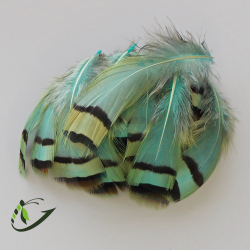 Перо French Partridge Hackles (20 шт)