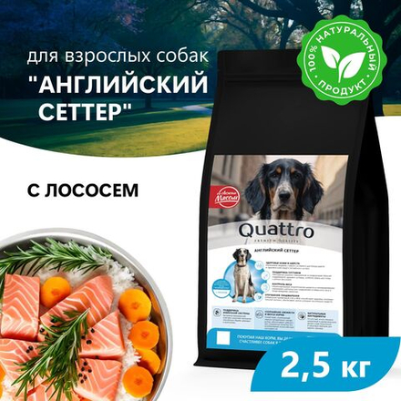 Корм сухой для взрослых собак породы Английский сеттер, премиум полнорационный комплекс, с лососем, 2,5 кг, QUATTRO