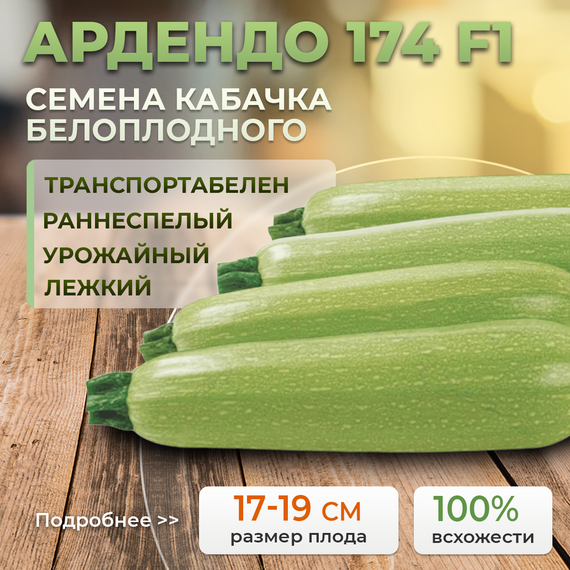 АРДЕНДО 174 F1 семена кабачка (Enza Zaden | Alexagro) – фото 1