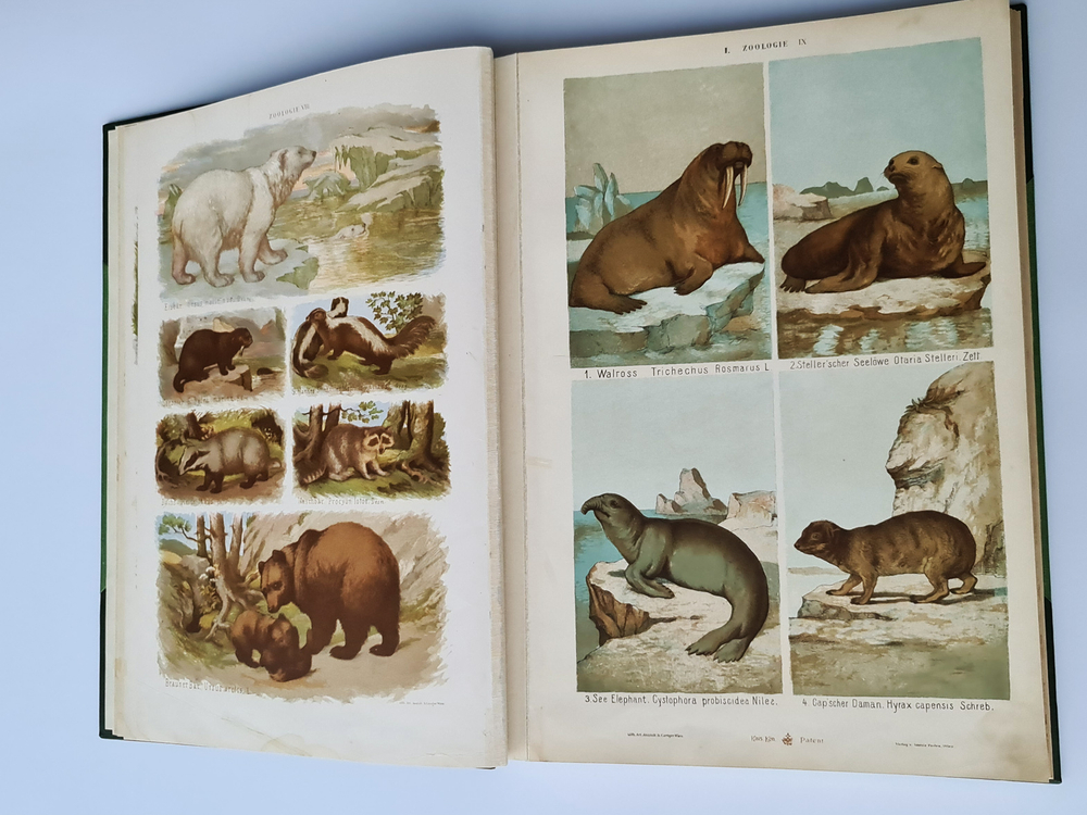 "Большой зоологический, ботанический и минералогический атлас : Handatlas der Naturgeschichte aller drei Reiche". Г. Хайек : Hayek, Gustav von. Grosser. 1888г. - антикварное издание