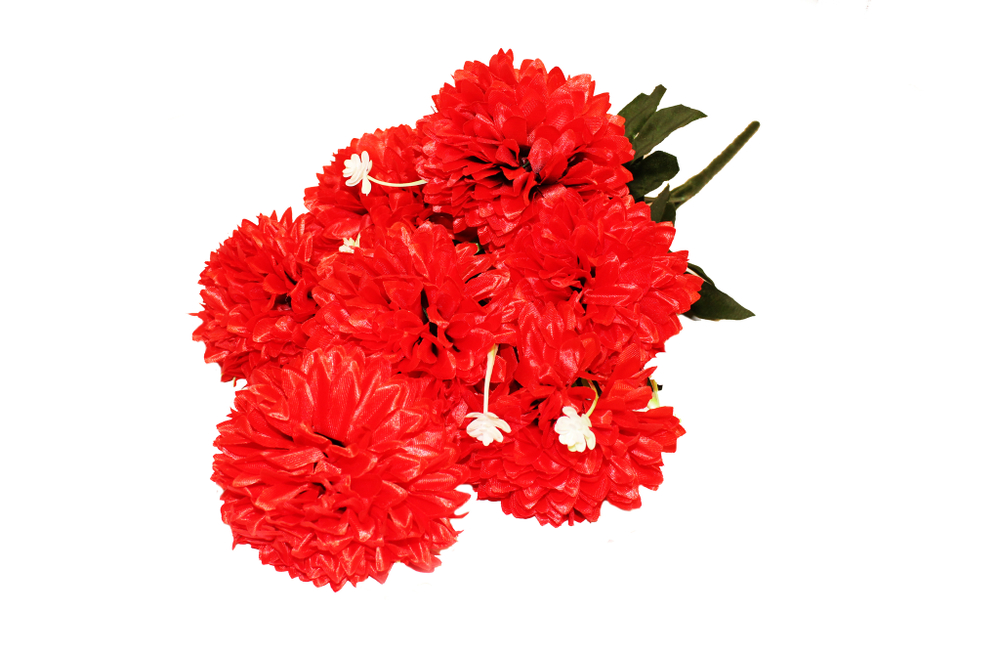 Букет Хризантем шар с листом