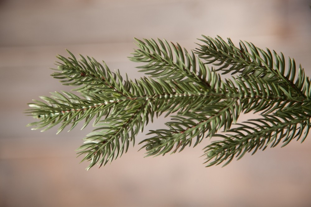 Ель Царская 100% литая 185см зеленая Triumph Tree