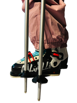 Палки горнолыжные Blizzard Rental Junior Ski Poles Black Matt/Si