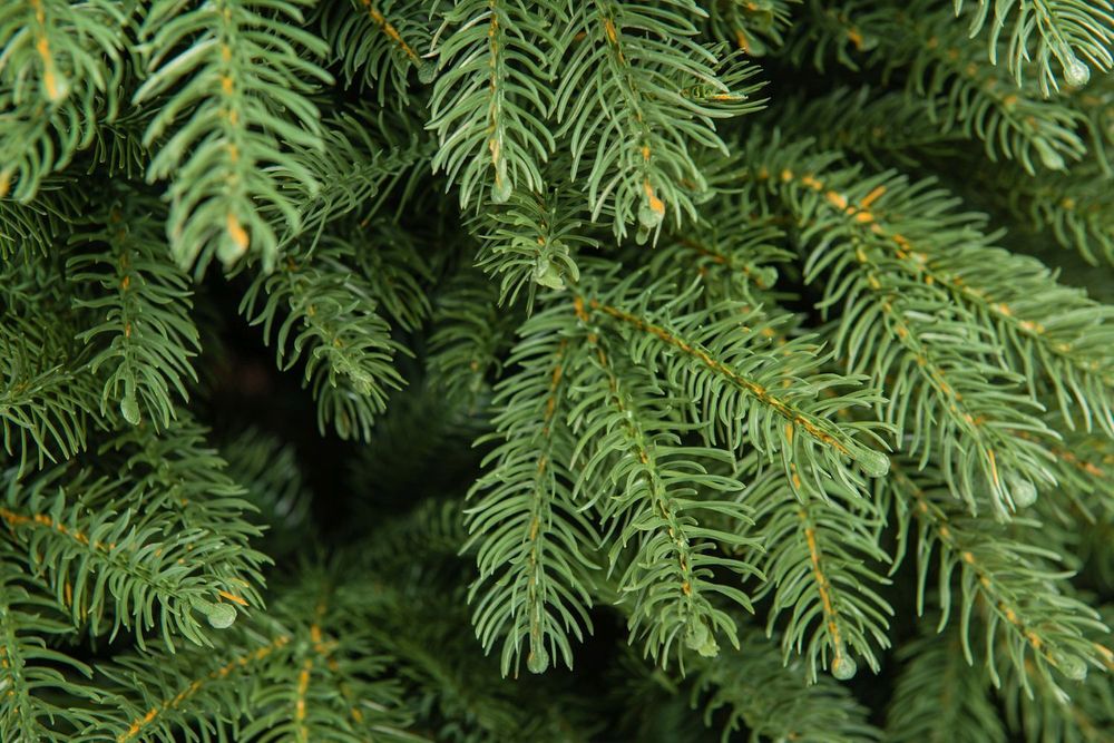 Ель искусственная «Дворянская» (Литая хвоя) 180 см / 1.8 м