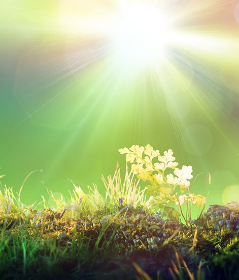 Ясность ароматический воск, Candle Warmers