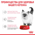 ROYAL CANIN Kitten Корм влажный для котят в возрасте до 12 месяцев (кусочки в соусе), 85 г