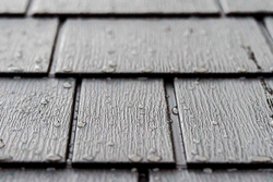 Пластиковая бытовка LifeTime WoodLook 10x8