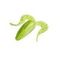 Лягушка Helios Frog 2,56"/6,5 см Green Lime 7шт. (HS-21-010)