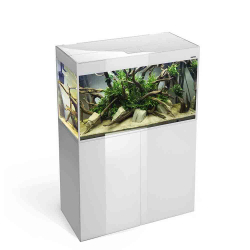 Aquael Glossy White 80 аквариум с крышкой и освещением LED, 125 л (белый)