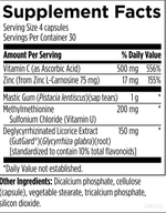 Designs For Health - GastroMend-HP™ - 120 capsules