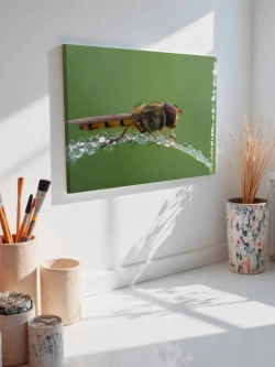 Картина на стену 40 X 50 Стрекоза