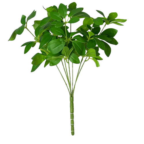 Шеффлера мелколистная куст зелёный 40 см.