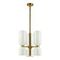Подвесная люстра Odeon Light Midcent Orinoco 4798/6
