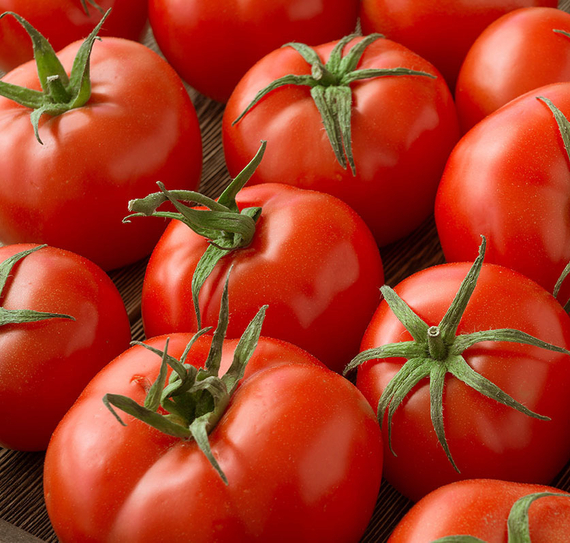 ГАМЗЕ F1 семена томата (Nunhems | Alexagro) – фото 3