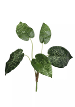 Калатея нетворк 46см (из 5 листьев)