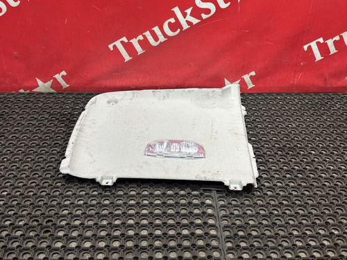 Обшивка потолка левая 2024г