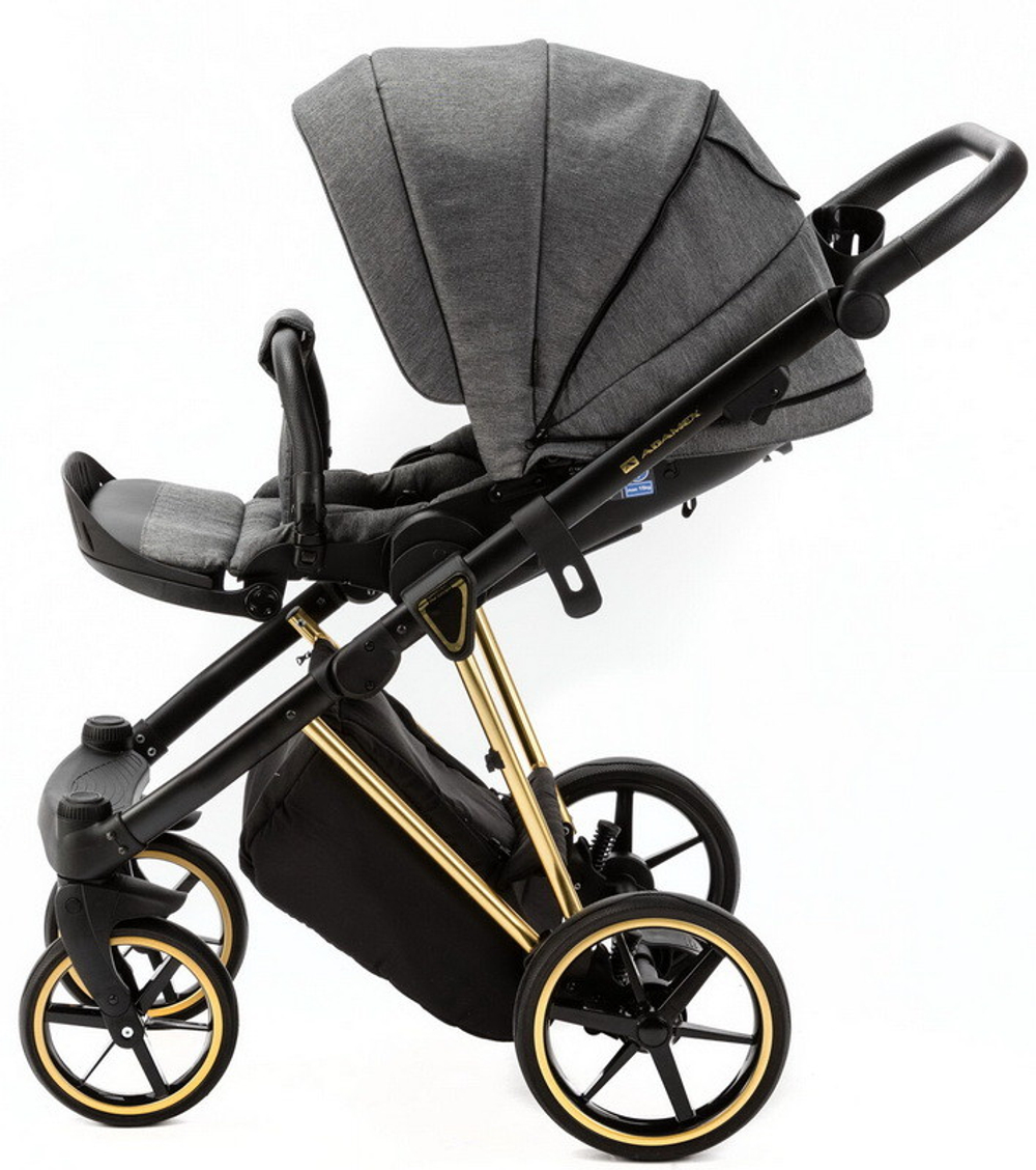 Детская коляска Adamex Belissa Special Edition 3 в 1 B-PS562 (Т.СЕР ЗОЛОТ.РАМ)