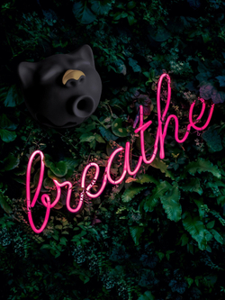 Gvibe Gcat - Вакуумный стимулятор клитора, 7.5х8.2 см