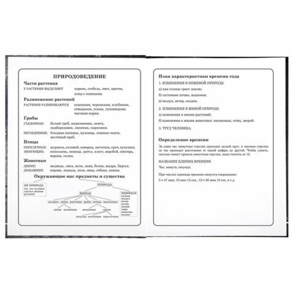 Дневник 1-4 класс 48 л., твердый, BRAUBERG, выборочный лак, с подсказом, "Крутой байк", 106362