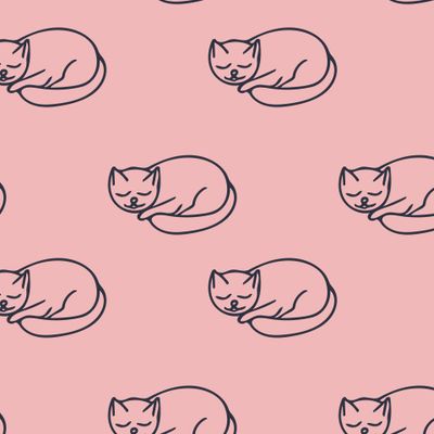 коты на розовом