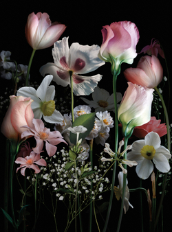 Коллекция Flower Dreams