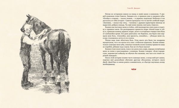 Черный красавчик