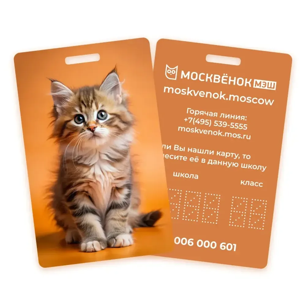 Карта Москвёнок CATS №8 (проход + питание)