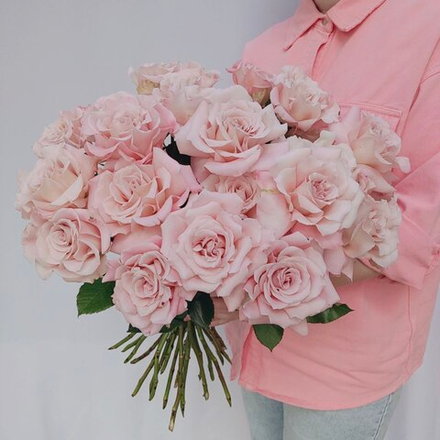 25 французских кремовых роз
