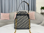 Christian Dior Medium C'est Dior Bag